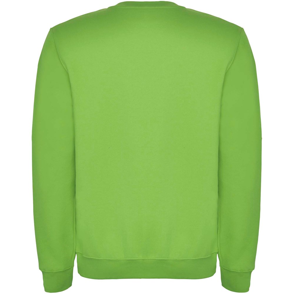 Clasica Sweatshirt mit Rundhalsausschnitt für Kinder Oasis Green