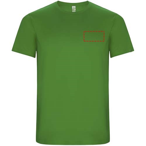 Imola Sport T-Shirt für Kinder farngrün