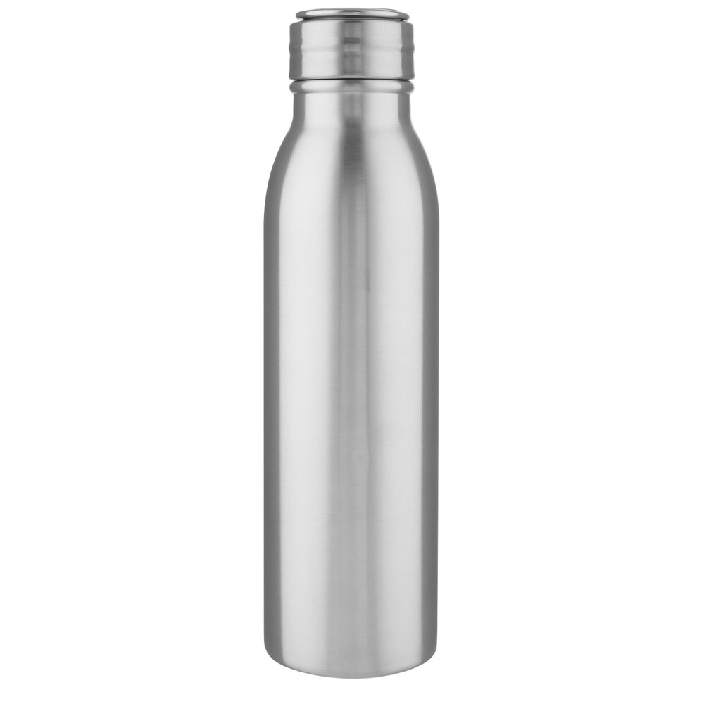 Harper 700 ml Sportflasche aus Edelstahl mit Metallschlaufe