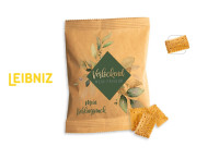 Leibniz Minis Werbetüte