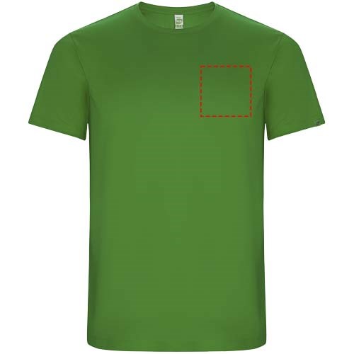 Imola Sport T-Shirt für Herren farngrün